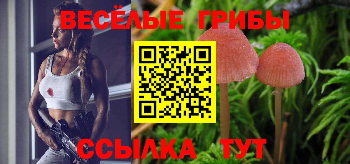 Галлюциногенные грибы мицелий  Вход с VPN  Галлюциногенные грибы MAGIC MUSHROOMS  Кубинка 
