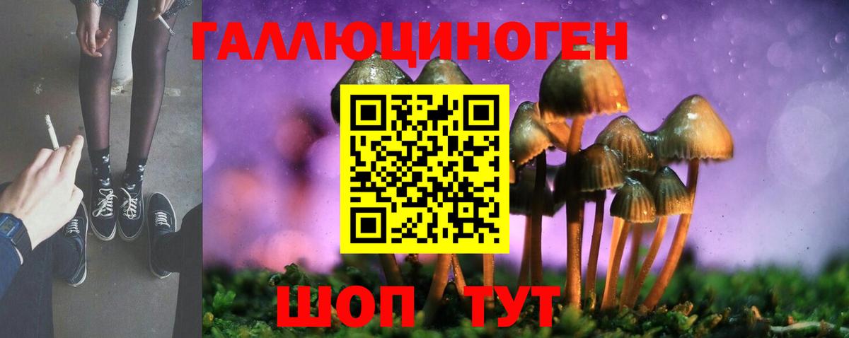 Галлюциногенные грибы мухоморы Кубинка